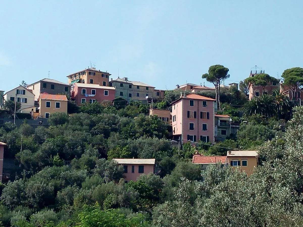 Villa Villino 